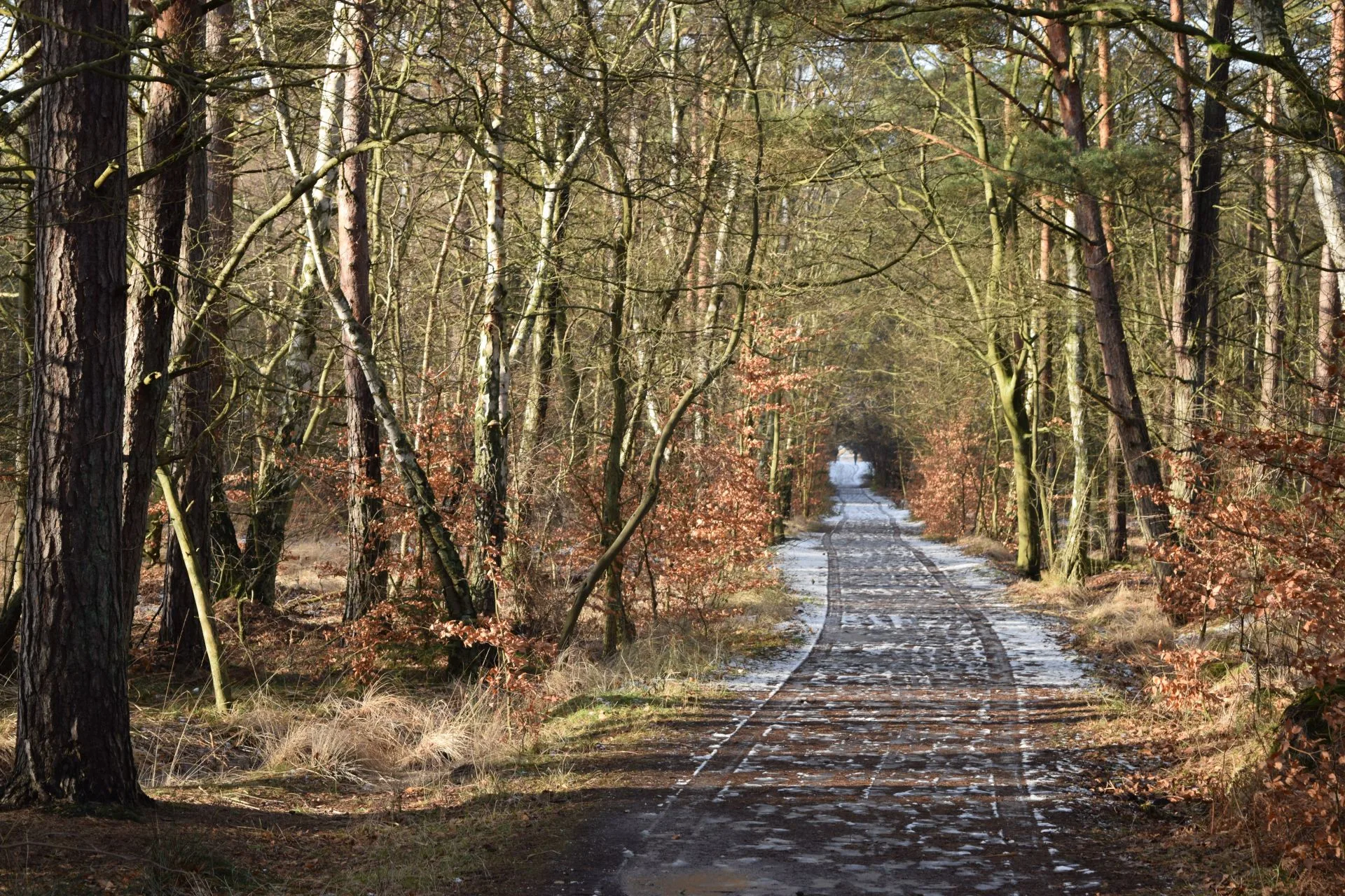 Natur Darß Nationalpark